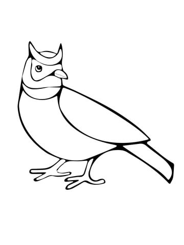 Horned Lark Coloring Page